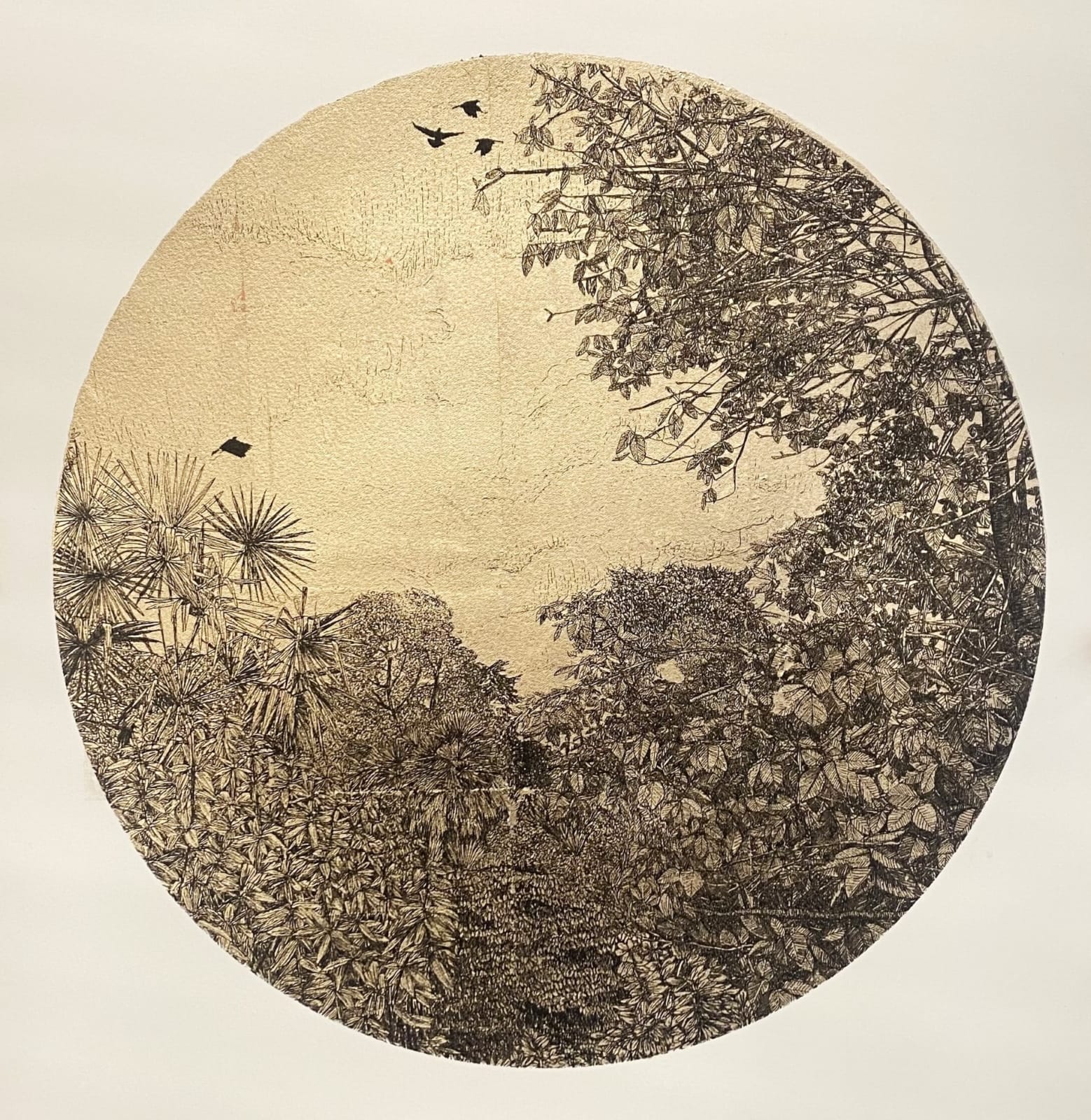 Clare Halifax, Champagne Golden Leaves