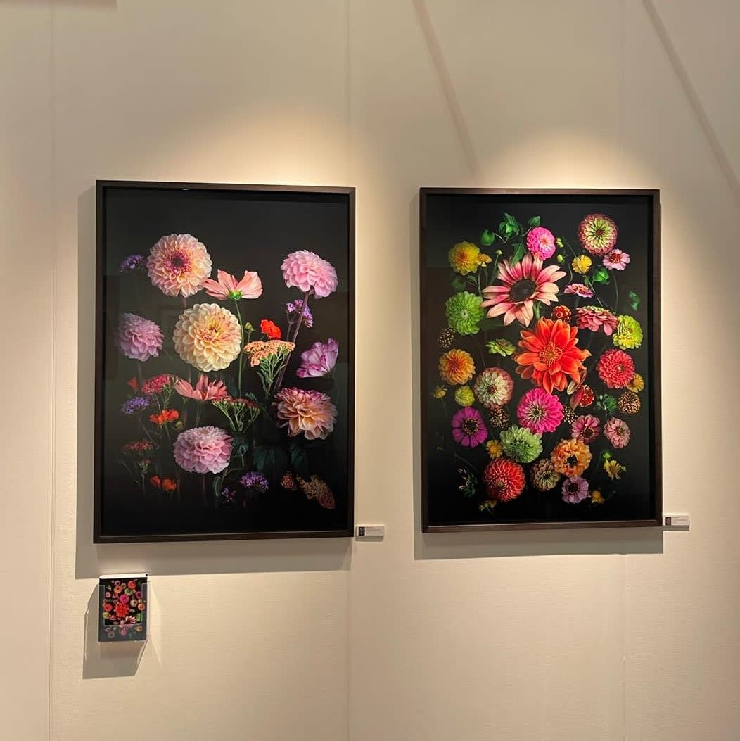 Dianna Jazwinski, Dahlias with Achillea