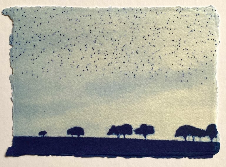 Luella Martin, Murmuration