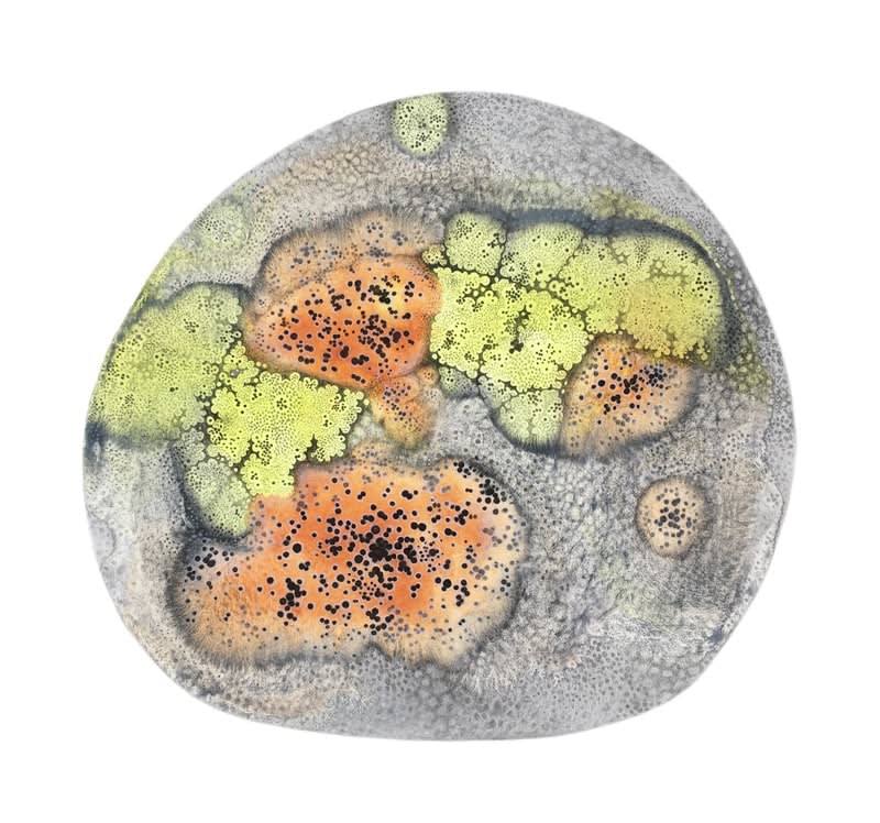 Rose Sanderson, Manifold