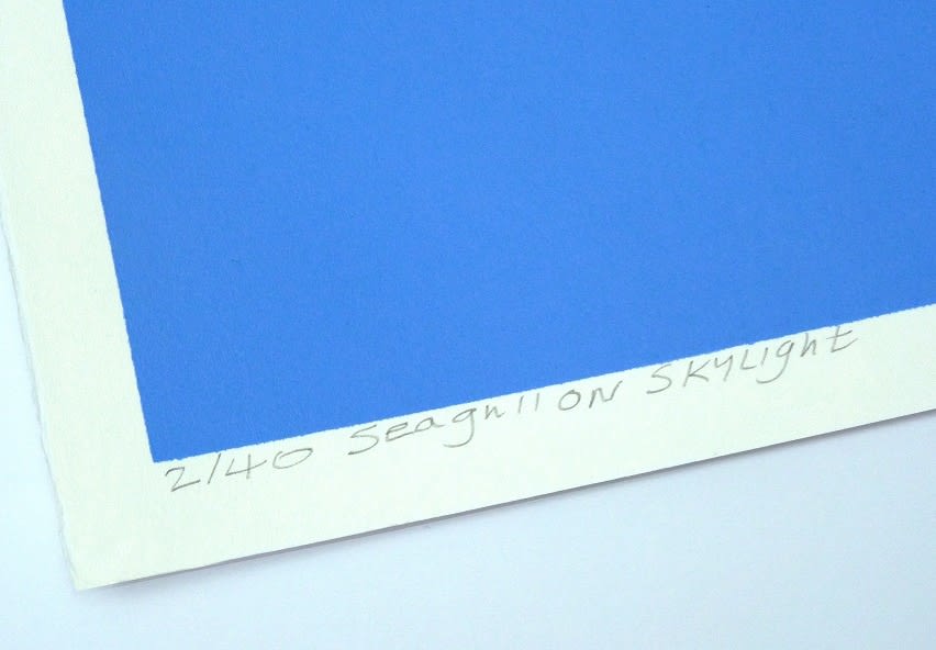 Simon Tozer, Seagull on Skylight