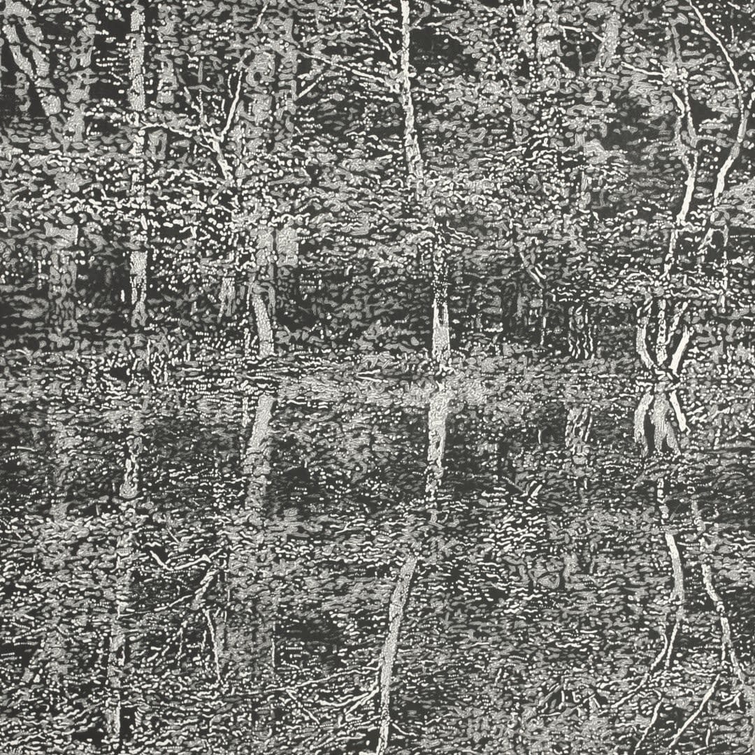 Trevor Price, Reflections I