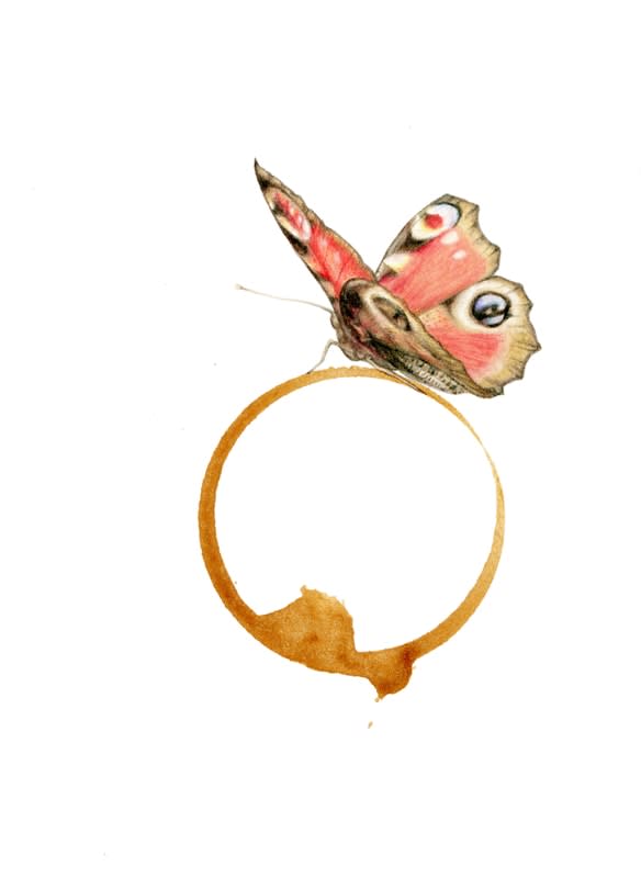 Rose Sanderson, Coffee Stain 5