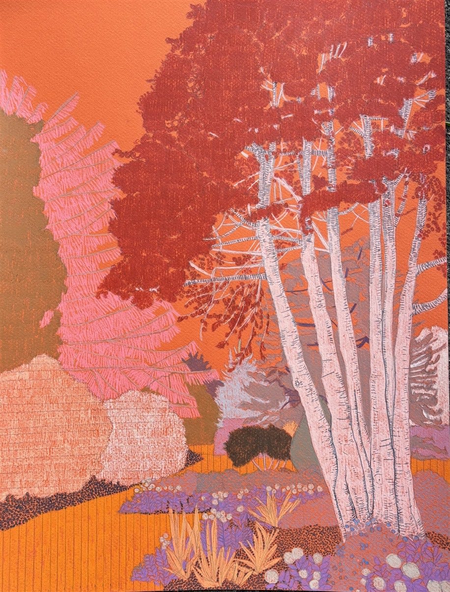 Drawings - Clare Halifax, Queen Mary's Garden, Regents Park I