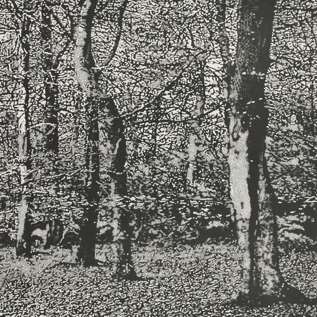 Trevor Price, Woodland III