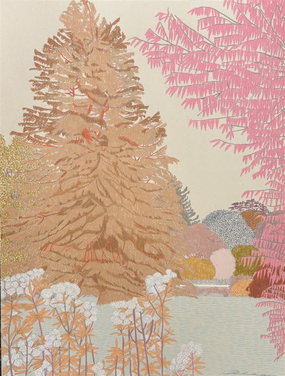 Drawings - Clare Halifax, Regents Park II