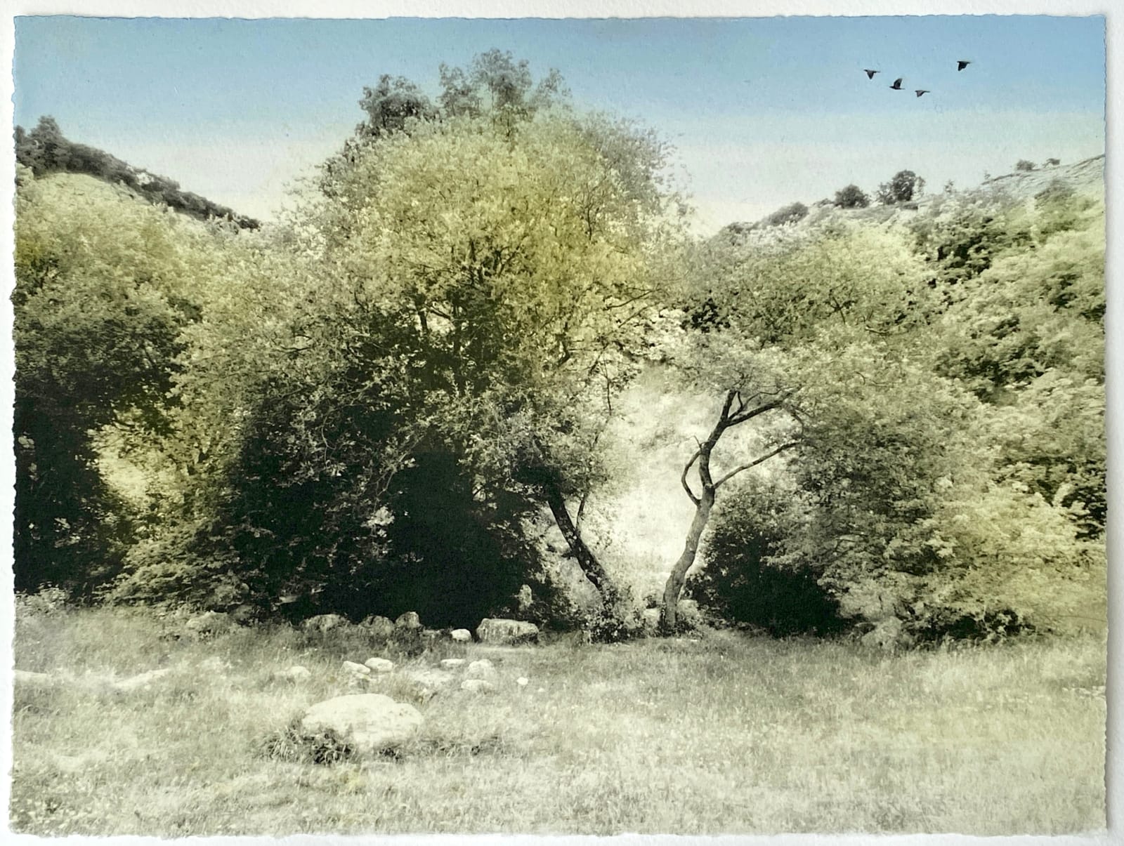 Luella Martin, In The Valley