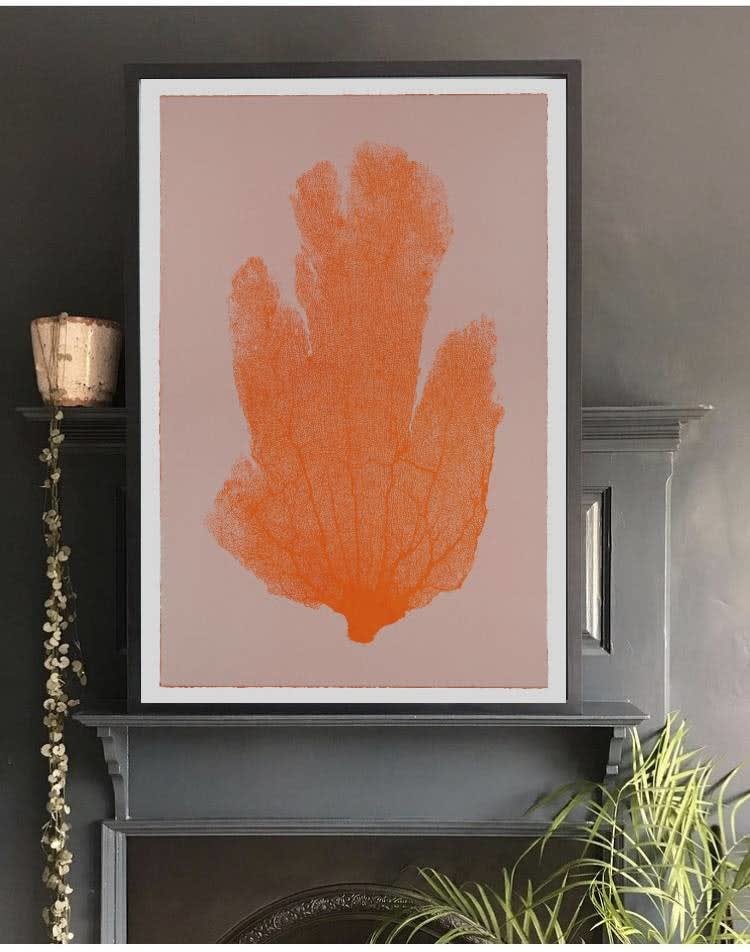 Jo De Pear, Sea Fan I - Orange/Pink