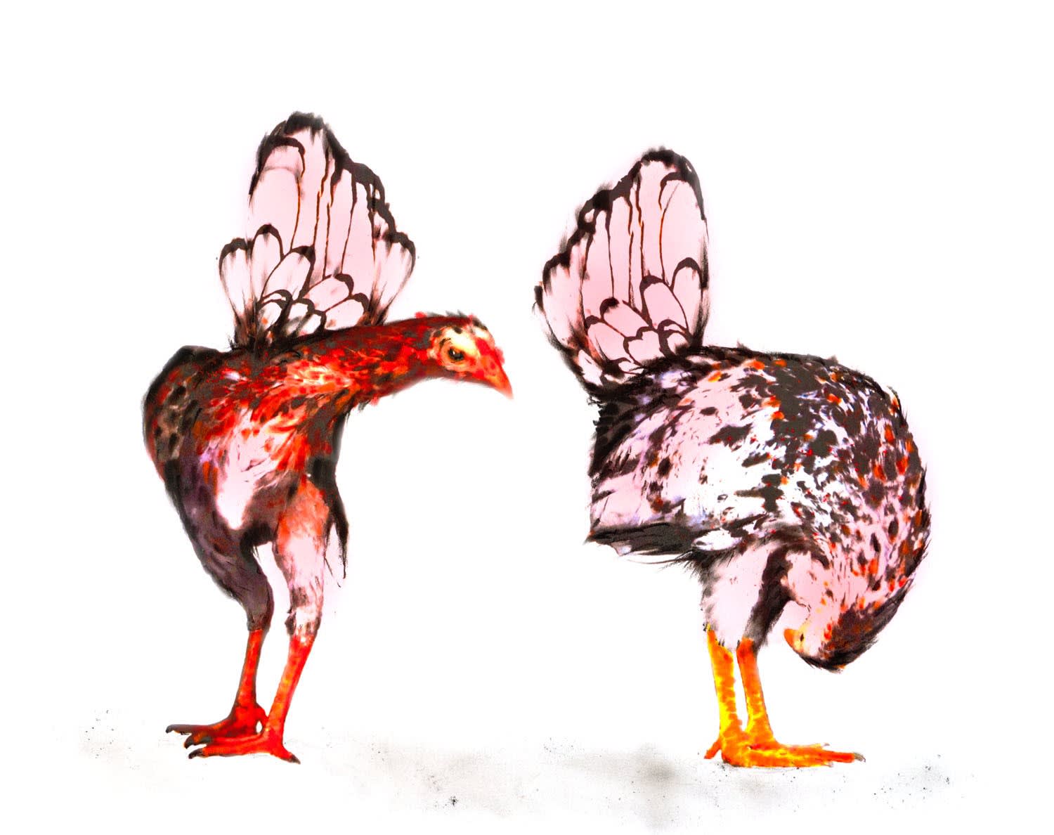 Adam Oliver, Lizzie Suddenly Goes Broody