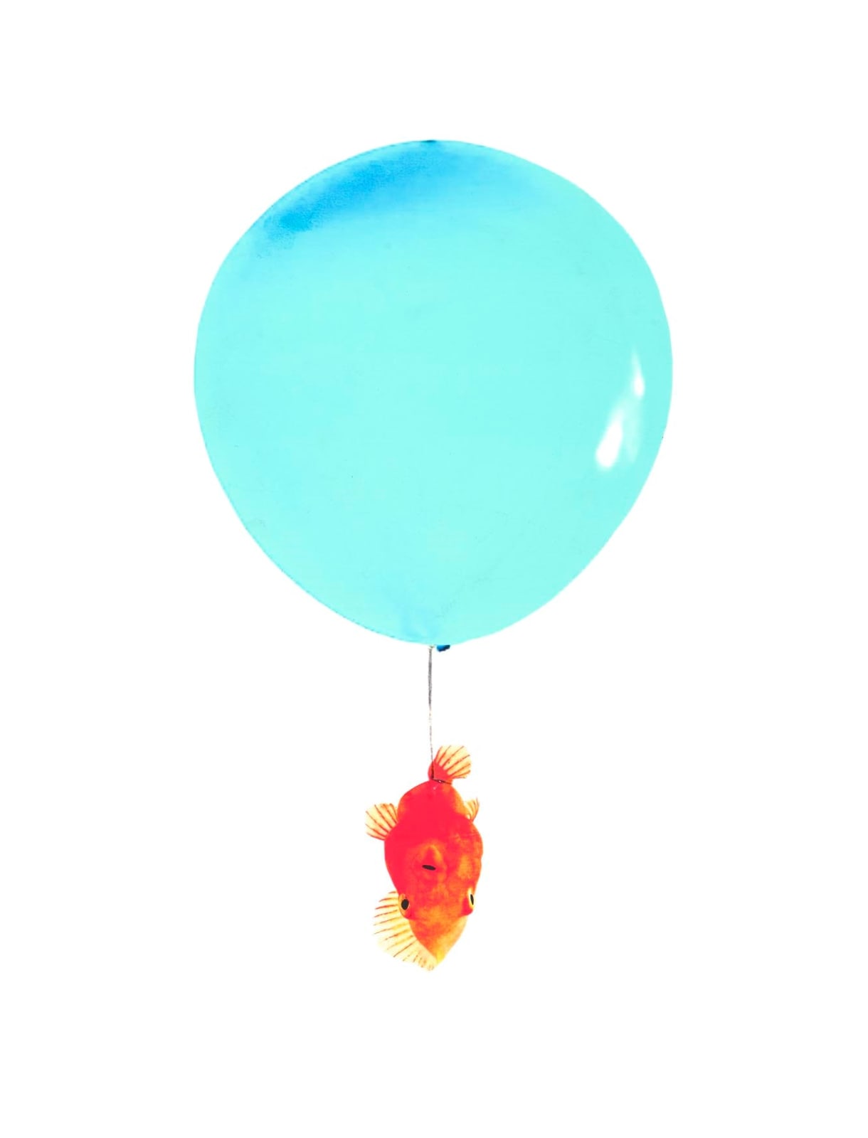 Adam Oliver, Unwanted Prize