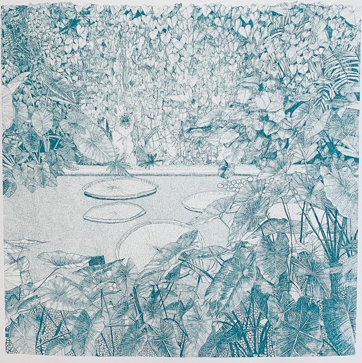 Clare Halifax, Greenhouse - Large Waterlily