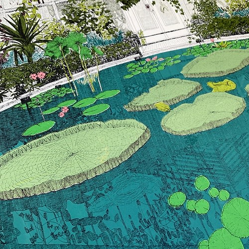 Clare Halifax, Waterlily House and Home