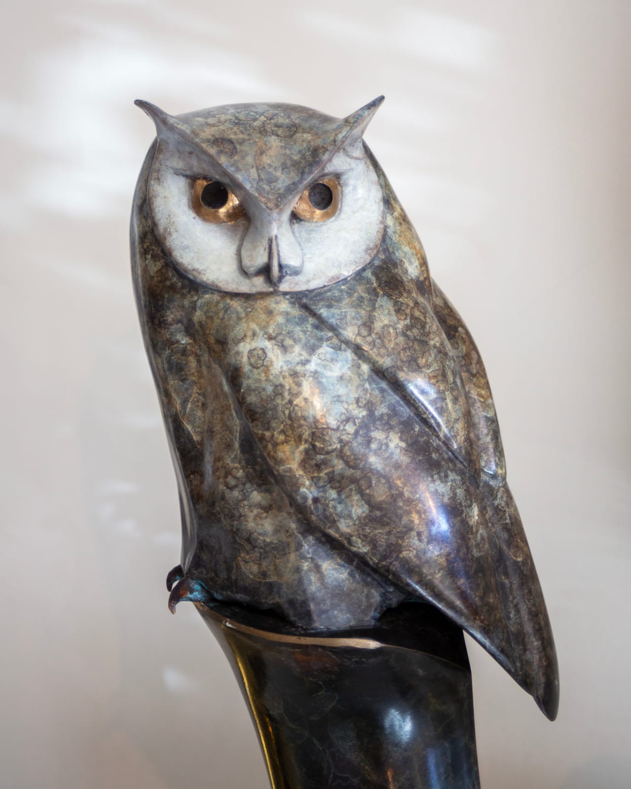 Matt Duke, SCOPS OWL