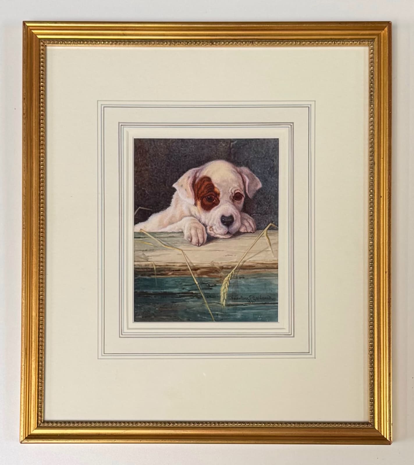 Valentine Thomas Garland, Inquisitive , 1891