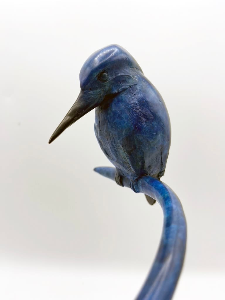 Pat Bull, Halcyon Days Study (Kingfisher)
