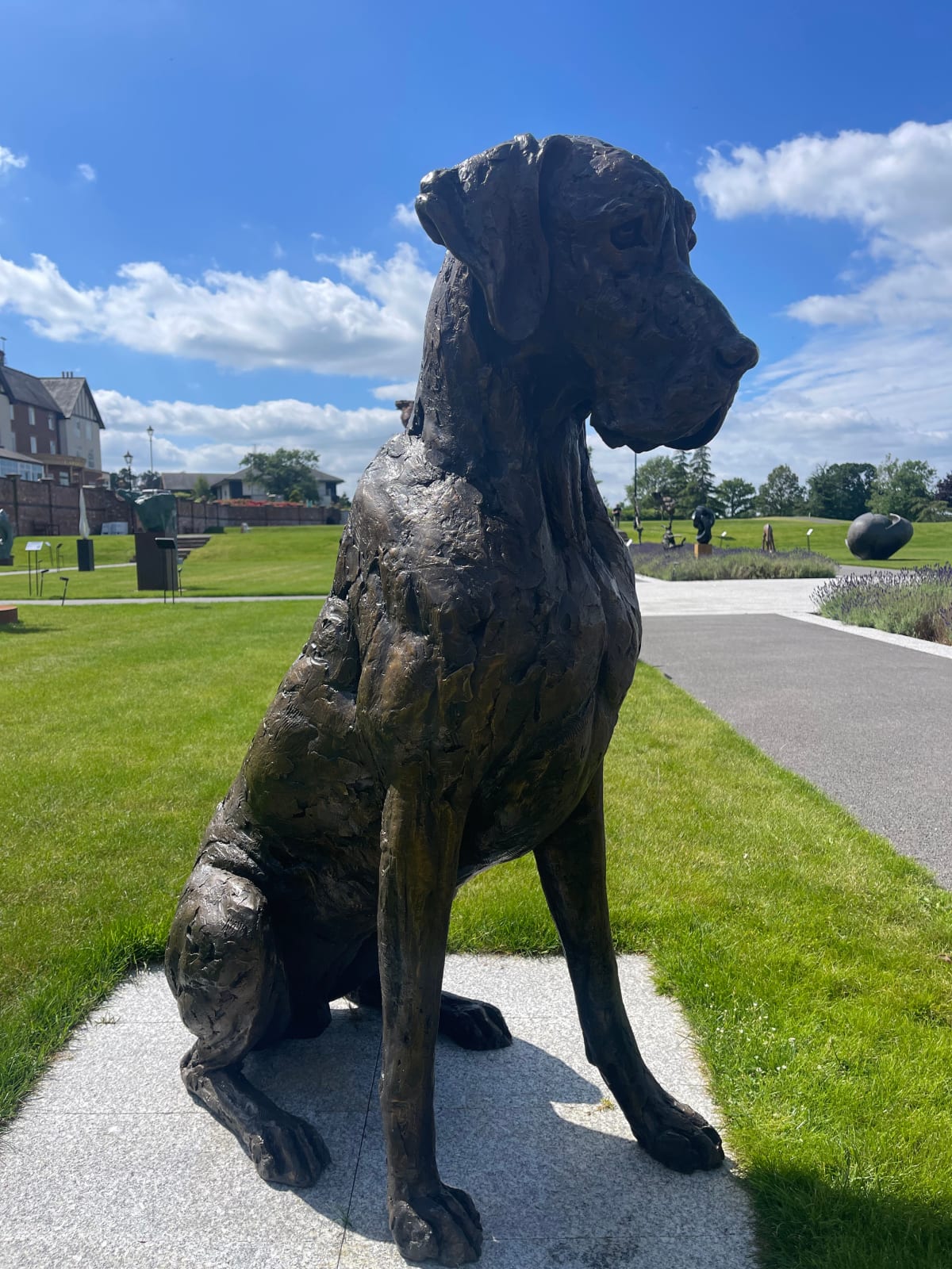 Tanya Russell, Sitting Great Dane
