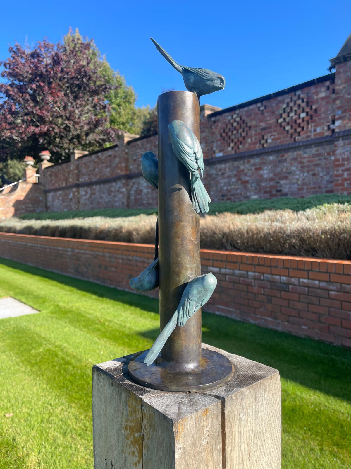 Pat Bull, Twitter Feed (Long tailed tits), 2022