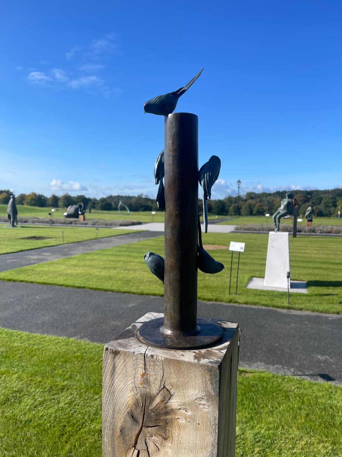 Pat Bull, TWITTER FEED (LONG TAILED TITS), 2022