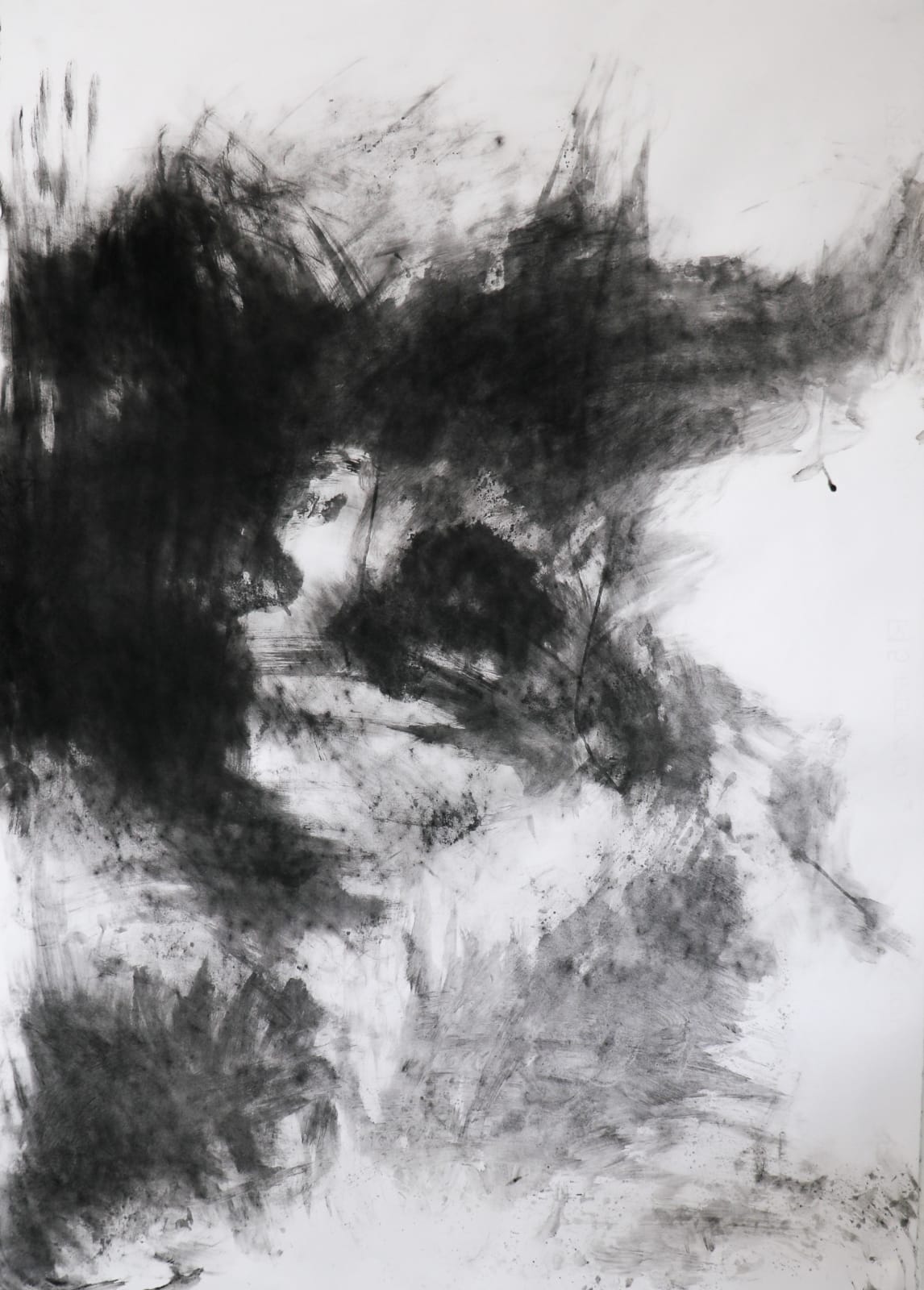 Sharyn Wortman, Remind Me How We Walked?, 2025
