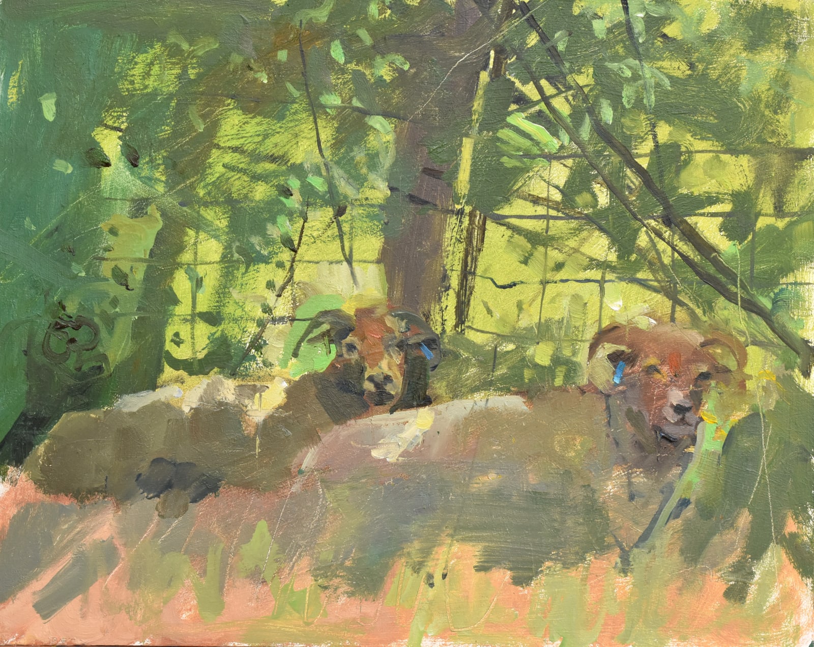 Richard Pikesley, Two Shearlings