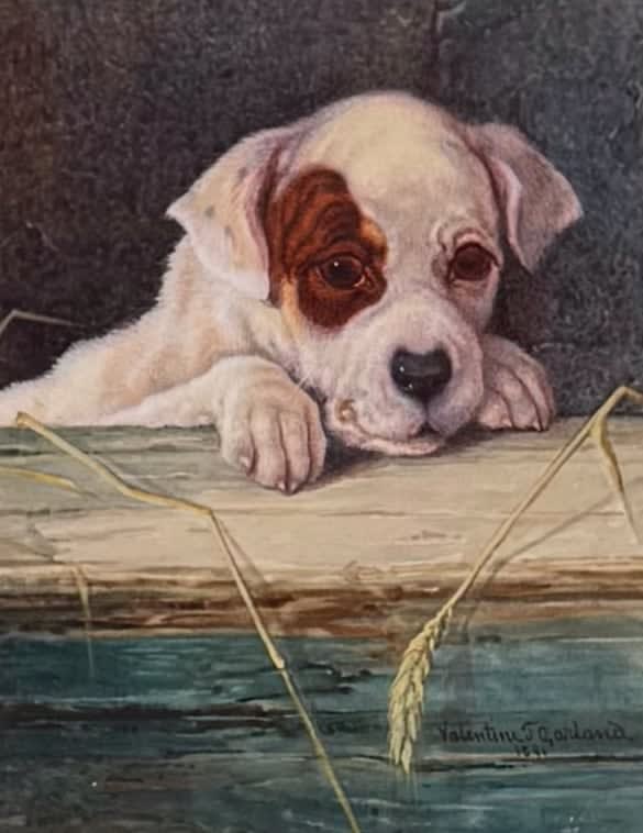 Valentine Thomas Garland, Inquisitive , 1891