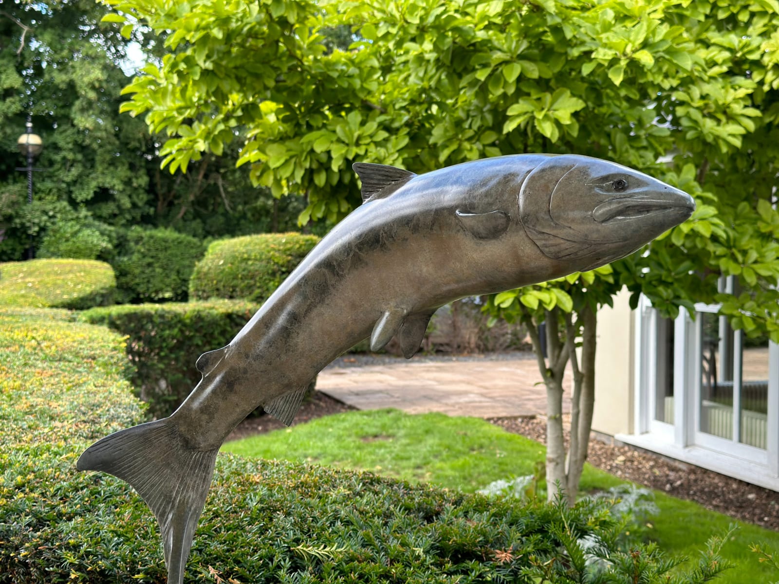 Matt Duke, Leaping Salmon