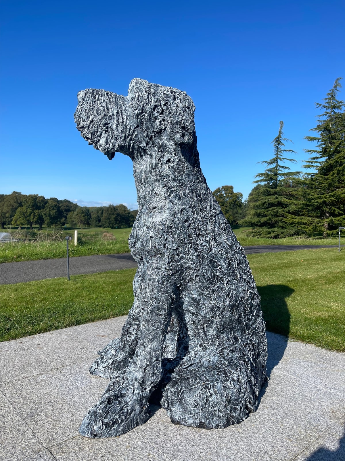 Anthony Scott, Wolfhound