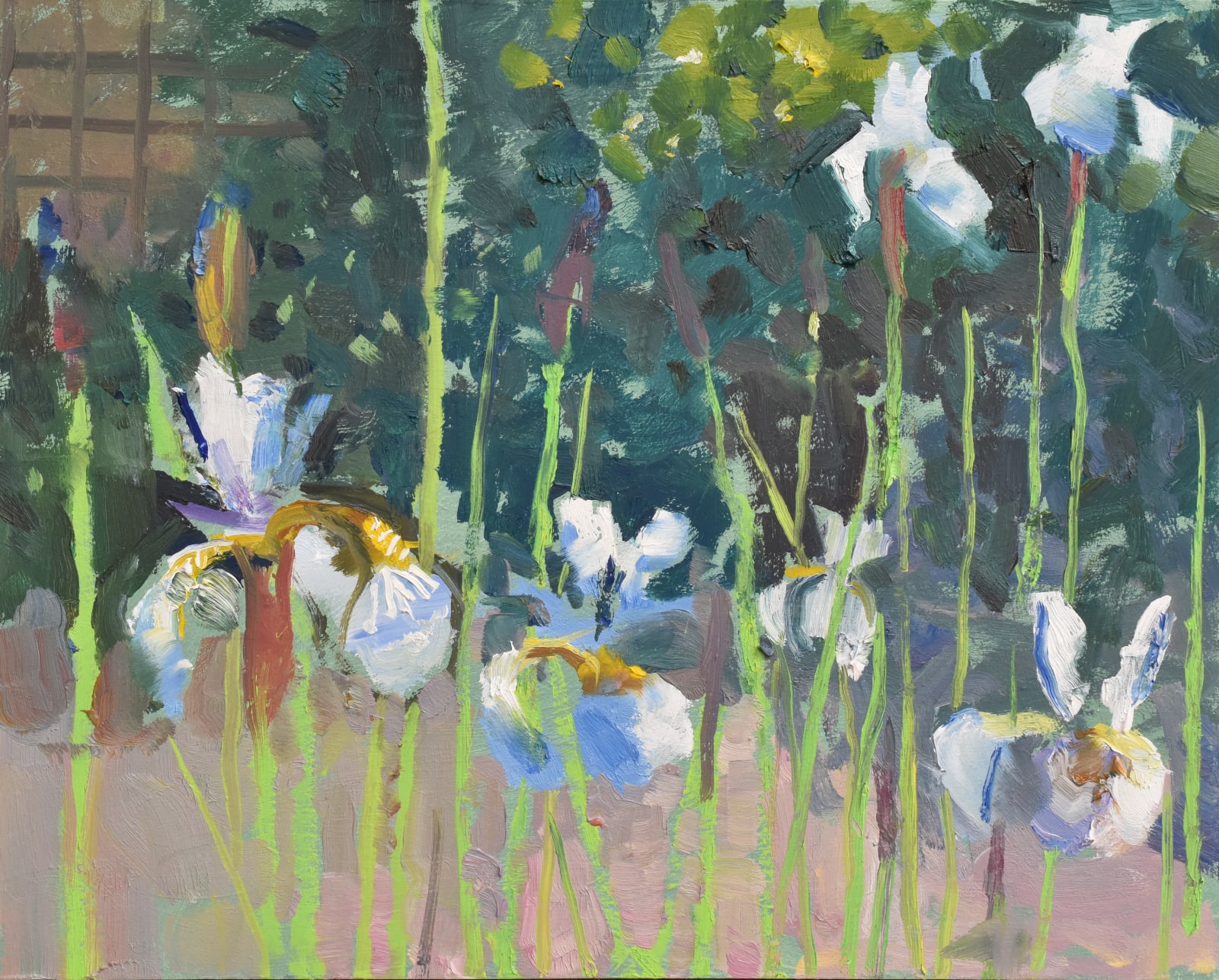 Richard Pikesley, Into The Light, Iris Sibirica