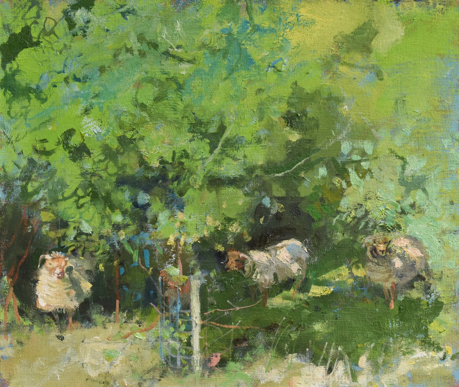 Richard Pikesley, Under The Apple Trees