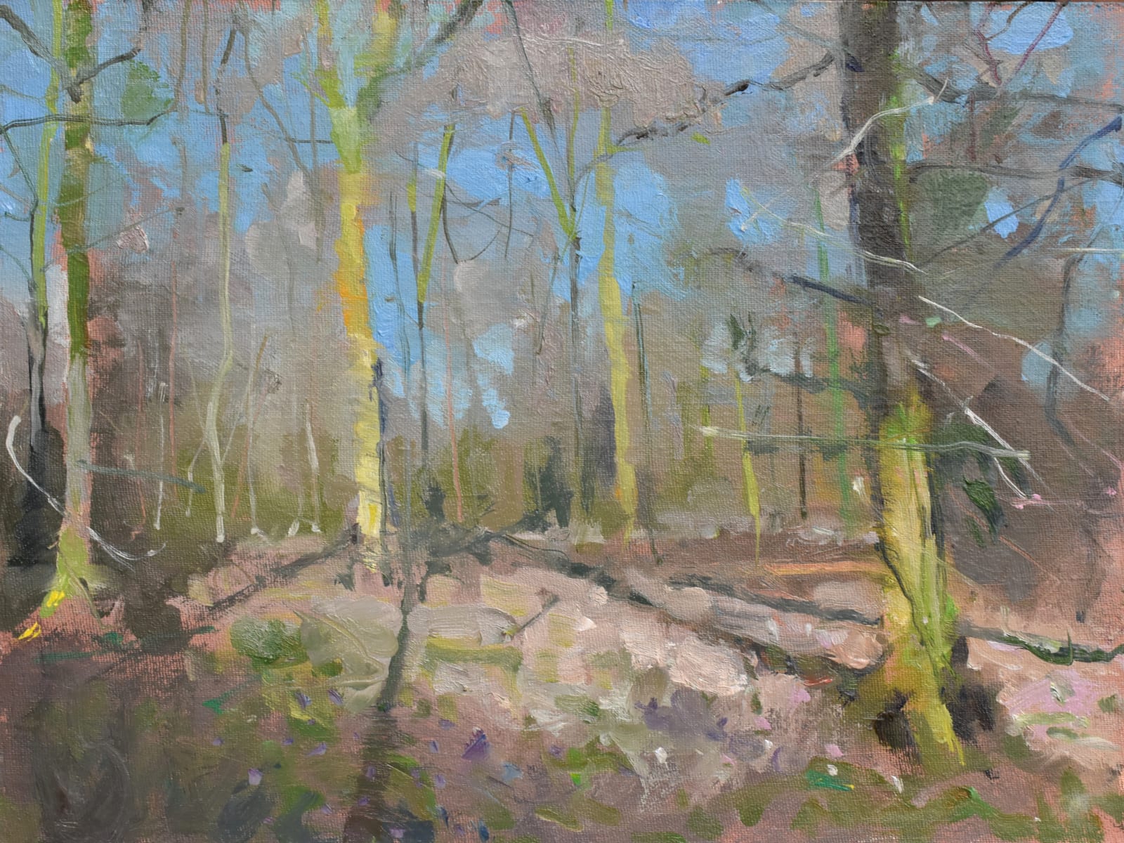 Richard Pikesley, Tree Shadows, Savernake Forest