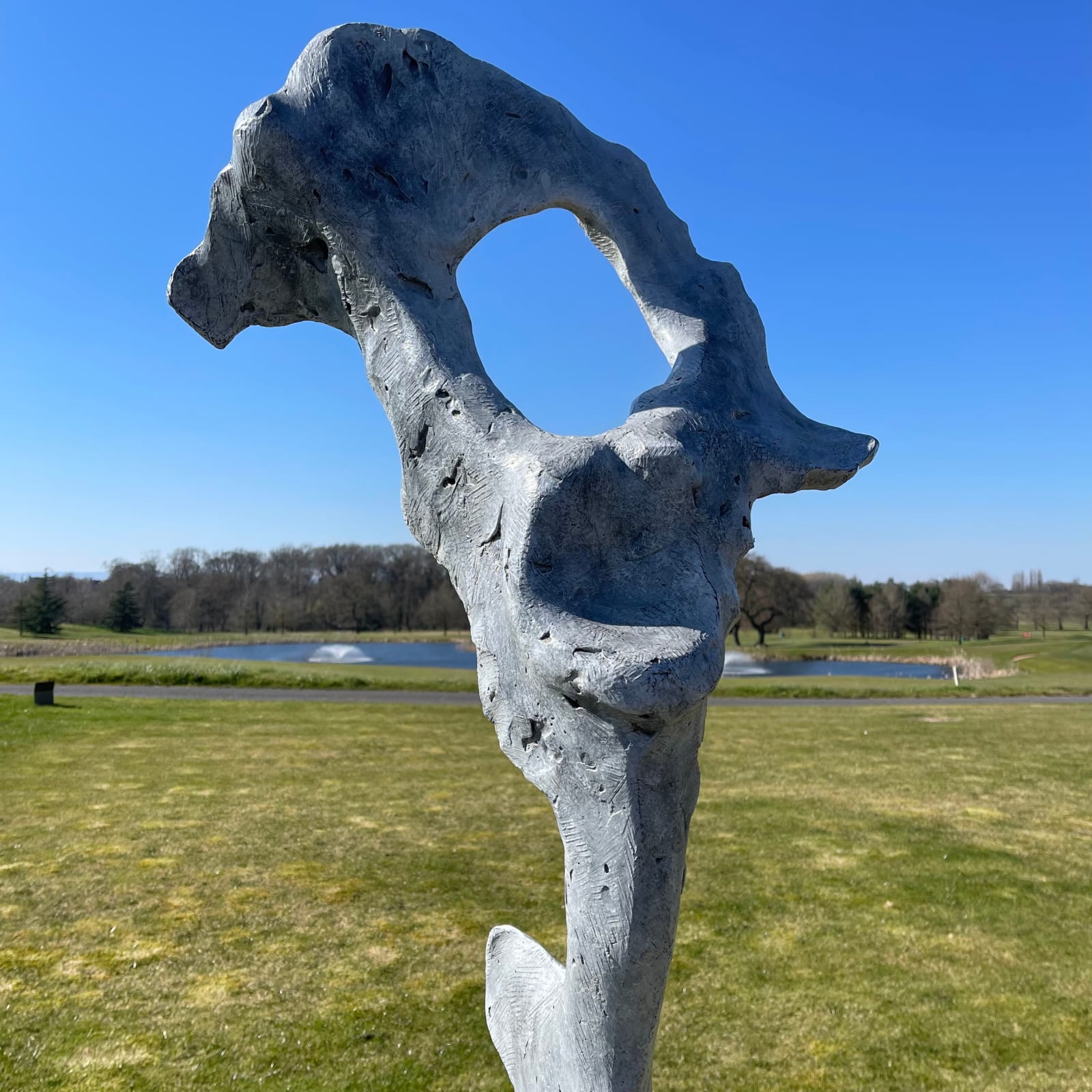 Nicola Godden, Bone Form VI