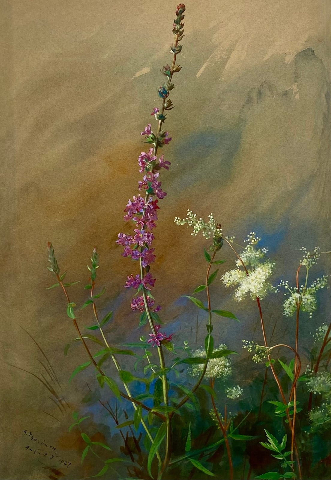 Archibald Thorburn, WILDFLOWERS