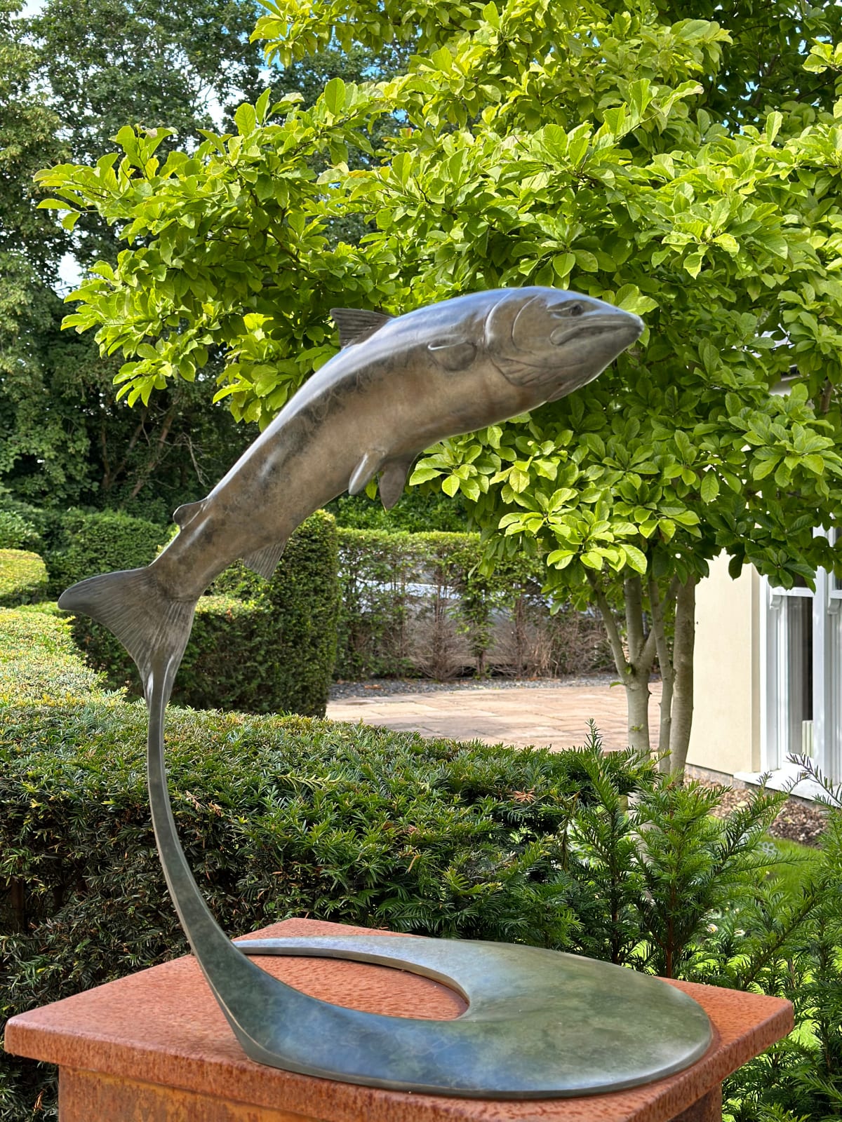 Matt Duke, Leaping Salmon