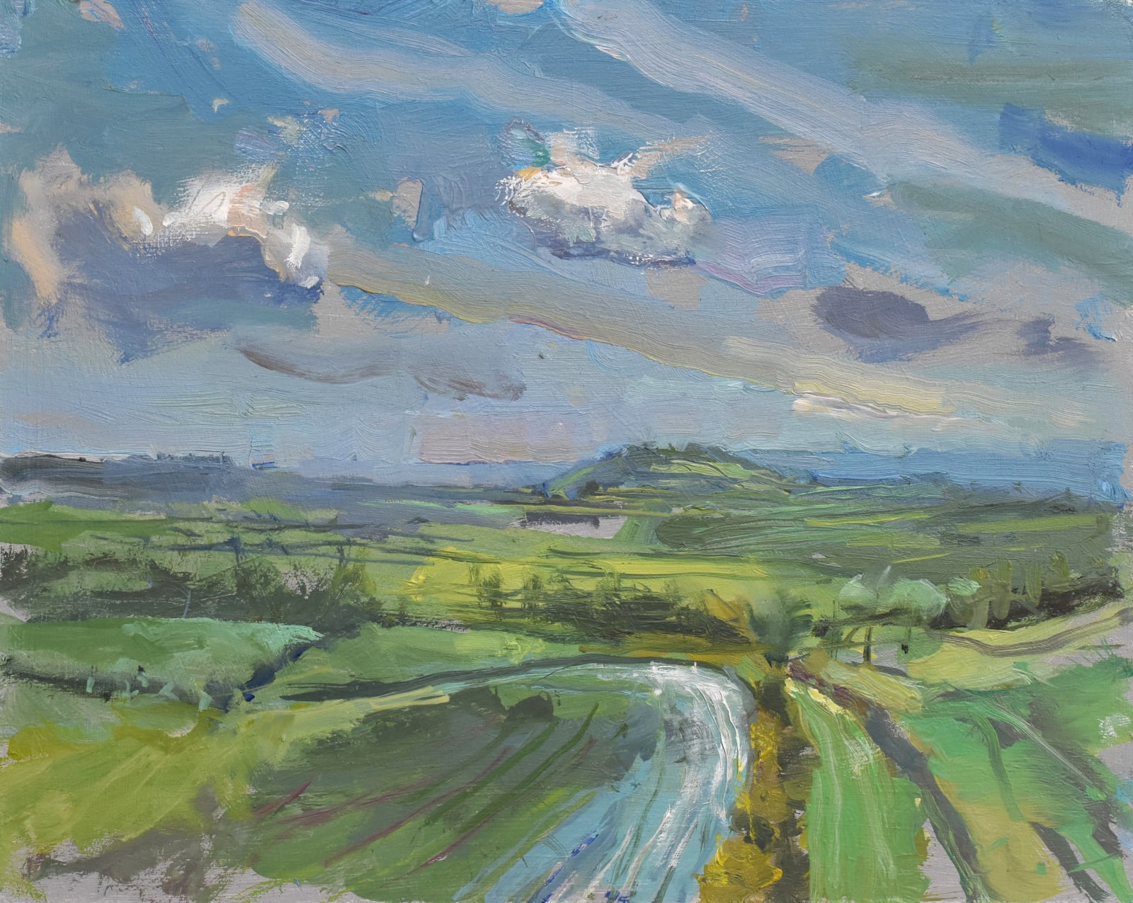 Richard Pikesley, South From White Sheet Hill