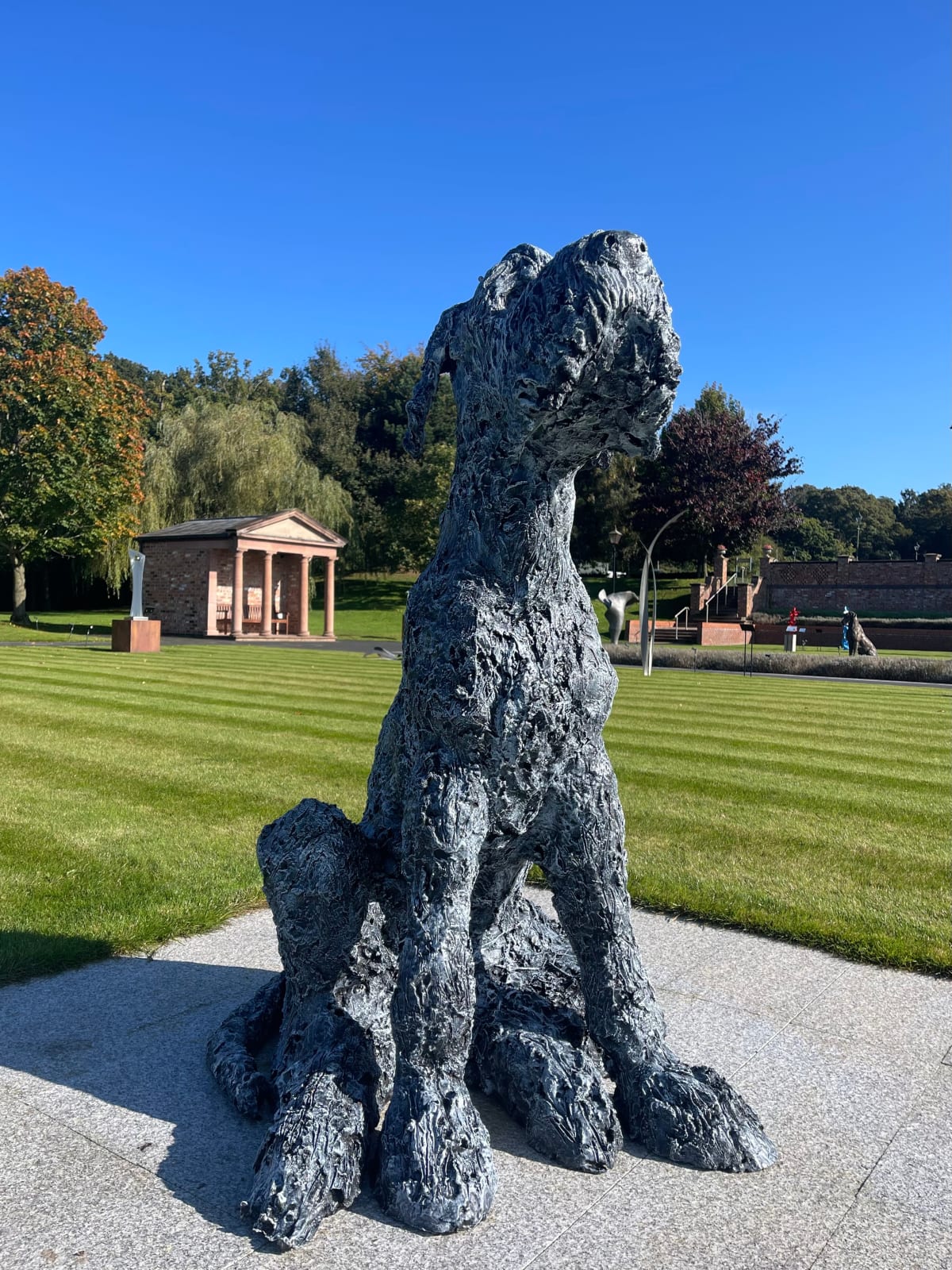 Anthony Scott, Wolfhound