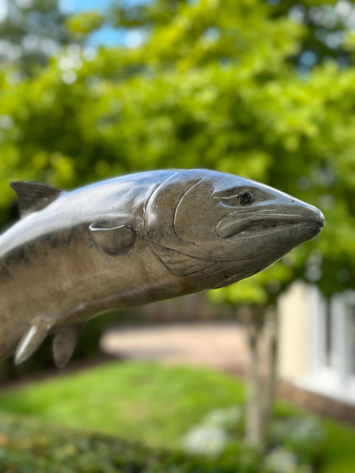 Matt Duke, Leaping Salmon