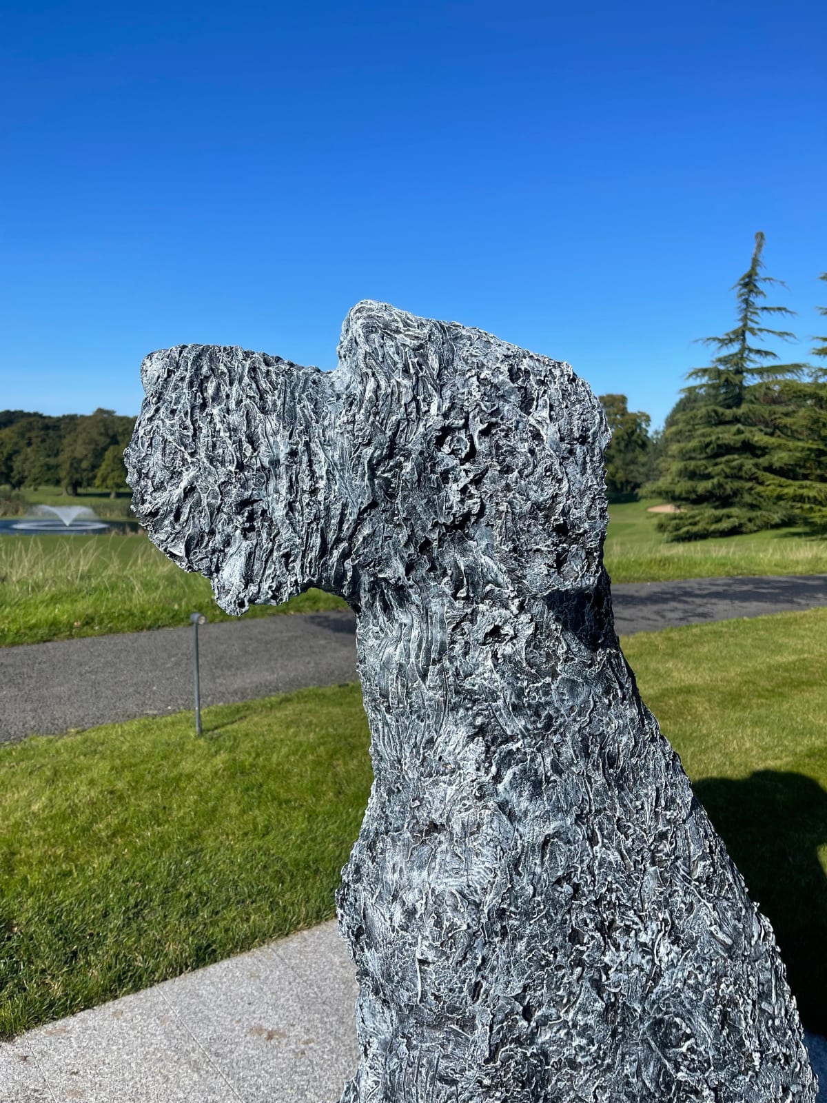 Anthony Scott, Wolfhound