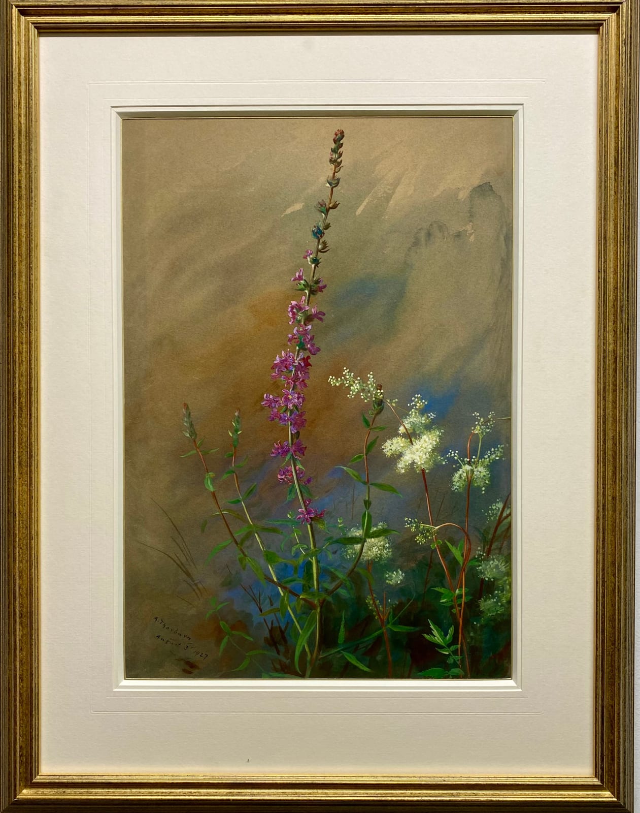Archibald Thorburn, WILDFLOWERS