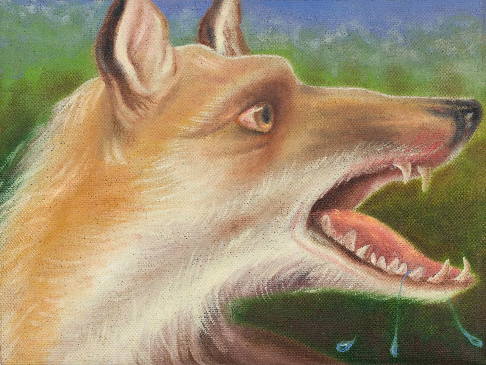 Angela Ferrari, Fox, 2025