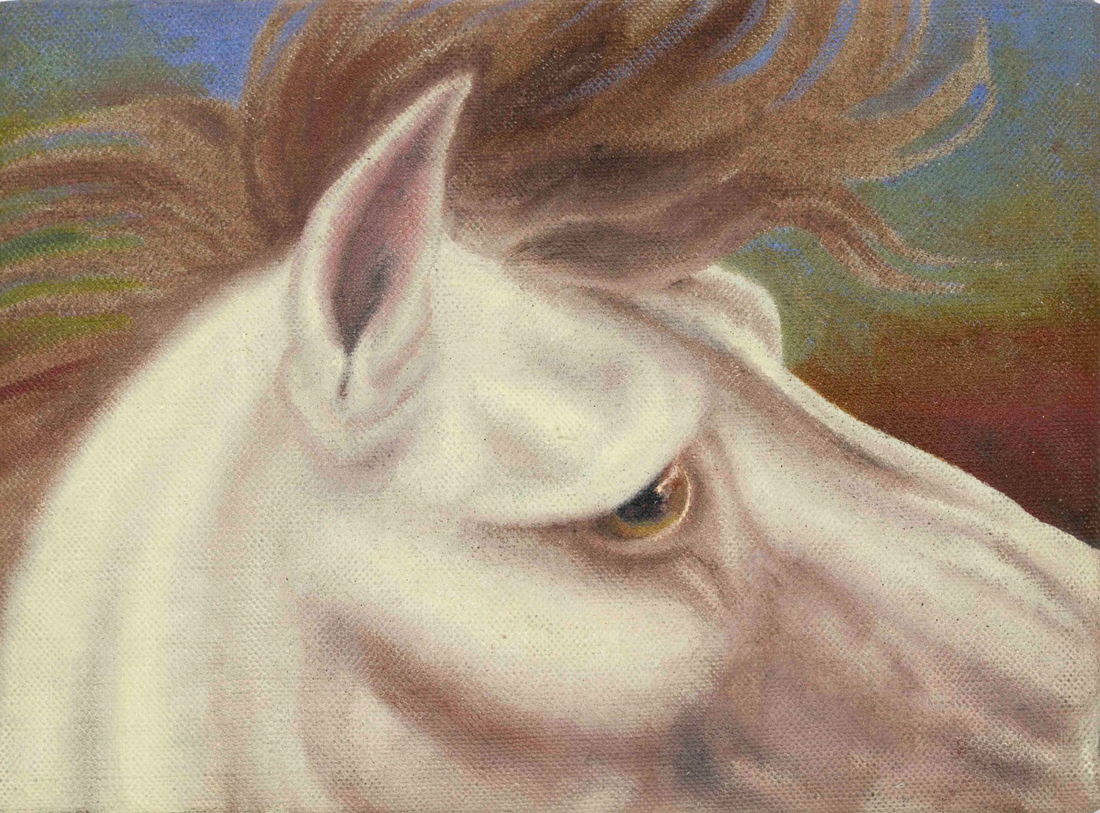 Angela Ferrari, Horse II, 2025