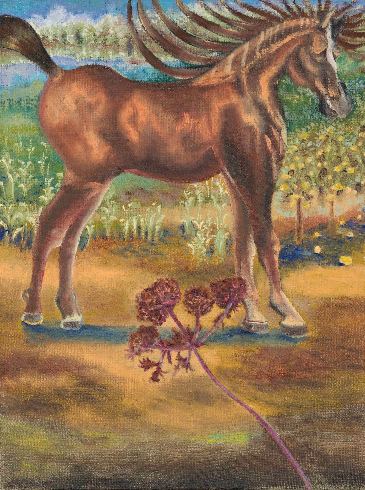 Angela Ferrari, Horse scene, 2025