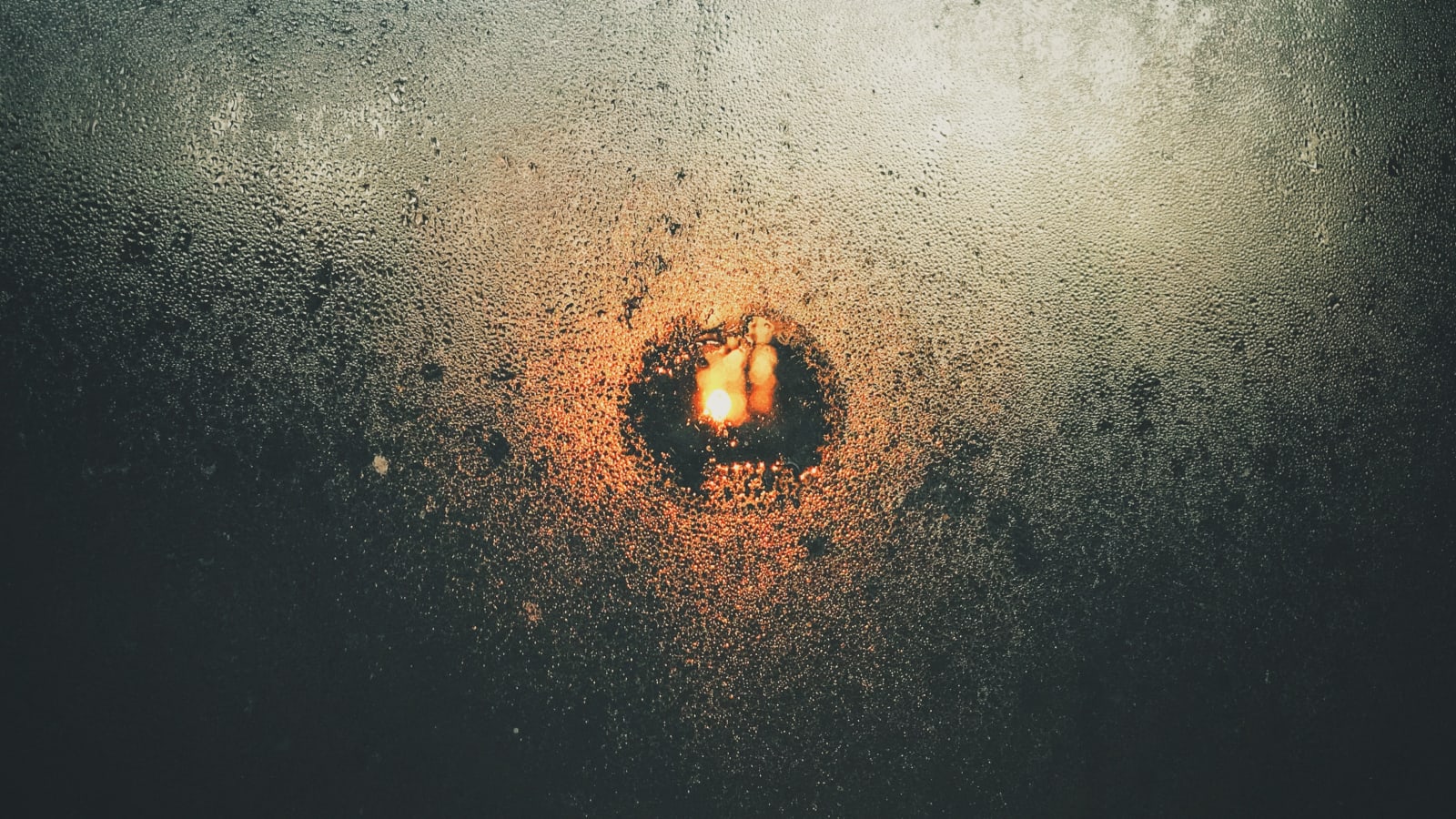 Felix Walters, Untitled, 2003