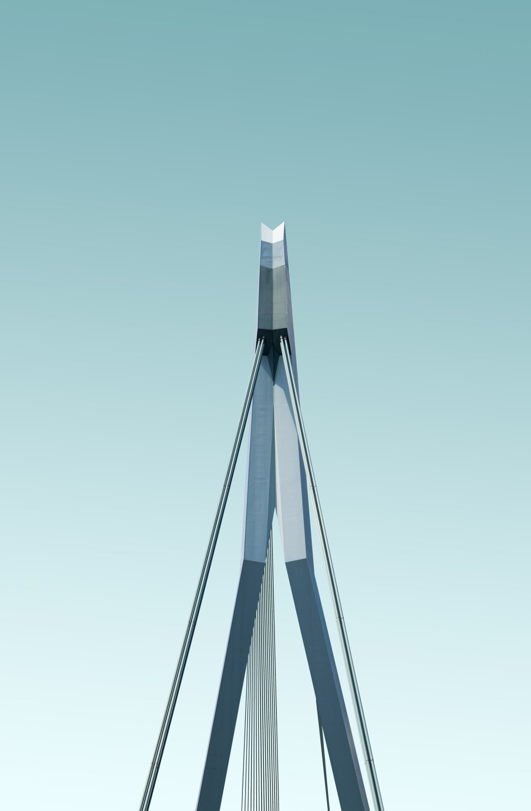 Luisa Schultz, Untitled, 2018