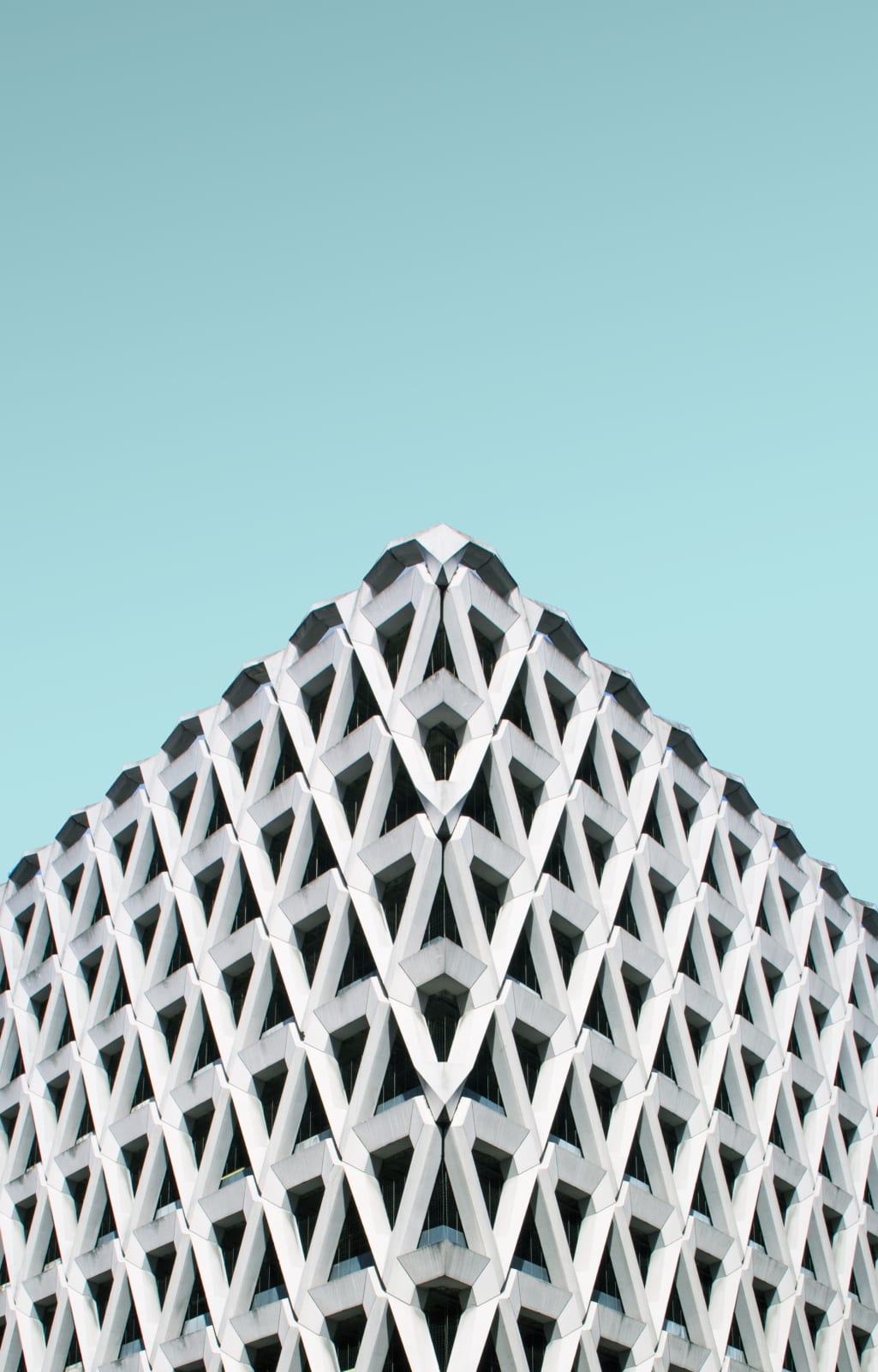 Luisa Schultz, Untitled, 2018