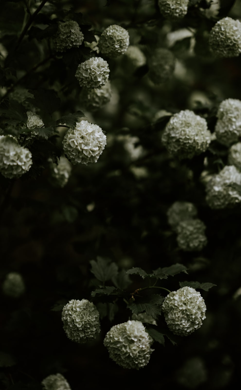 Katrina Forrest, Untitled, 2013