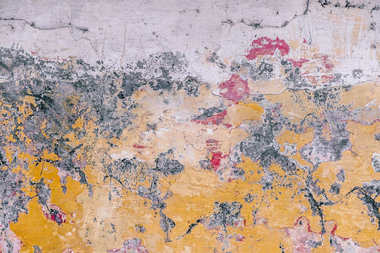 Elsie-Rose Farrow, Untitled, 2003