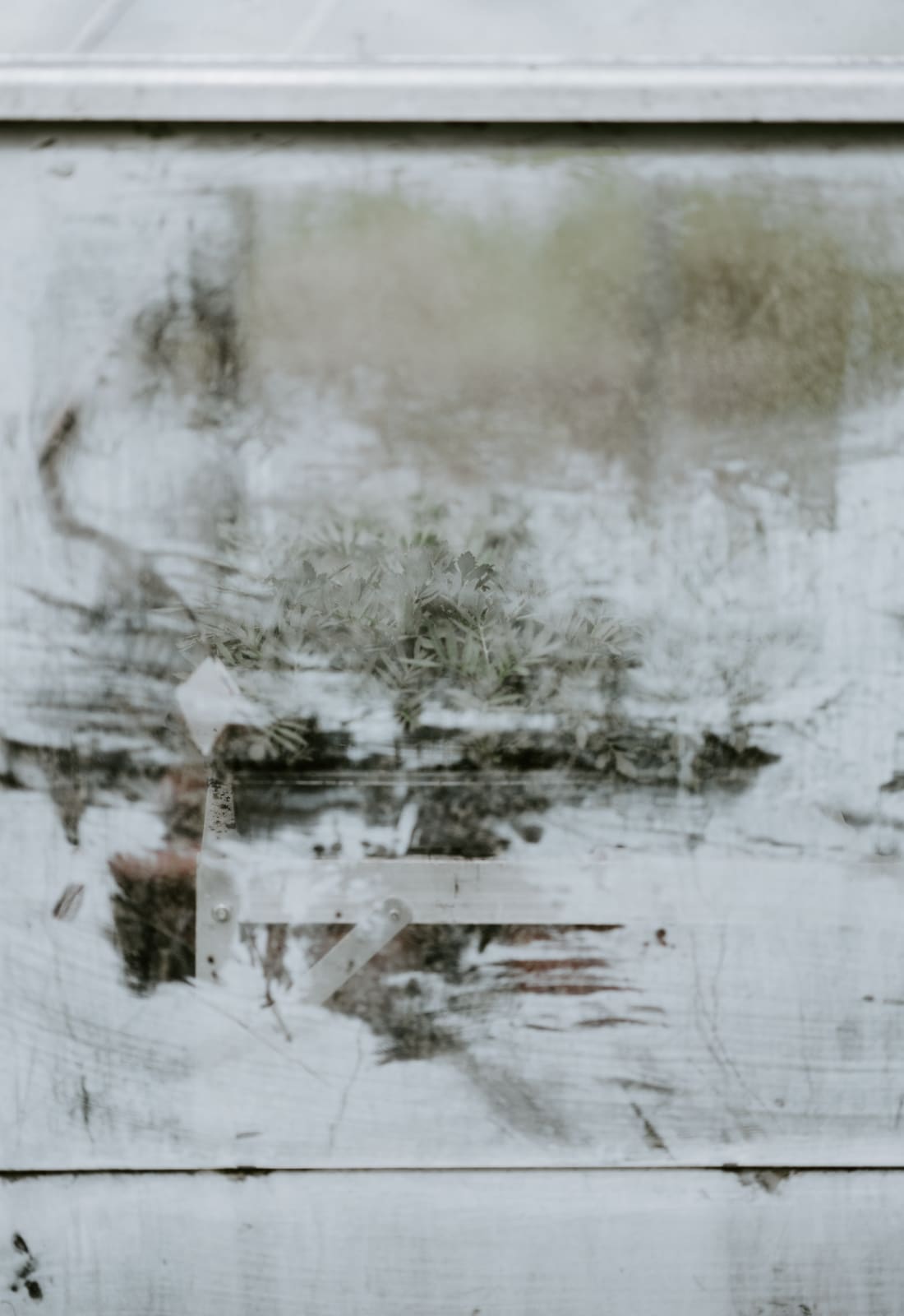 Felix Walters, Untitled, 2007