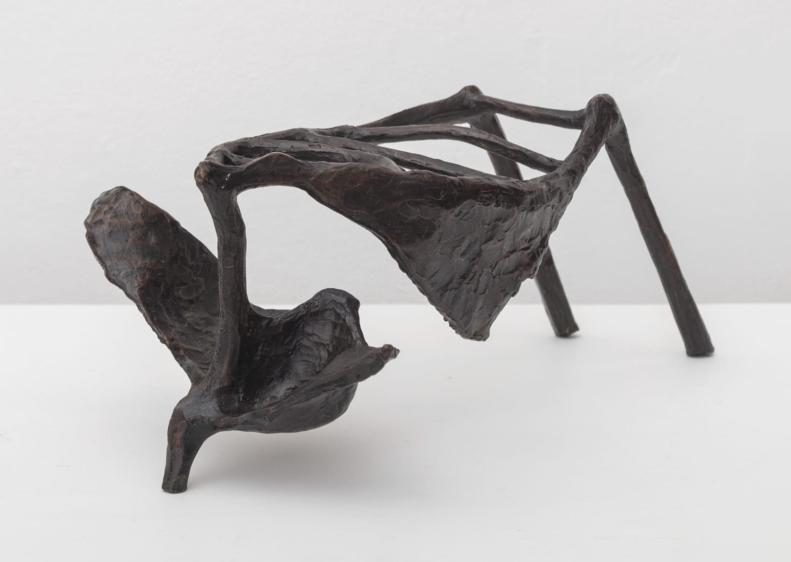 Helen Evans Ramsaran, A Caged Spirit Waiting, 1991