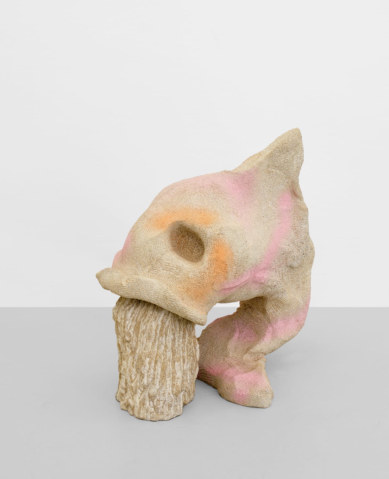 Jenny Brosinski, I Don't Belong Here, 2022