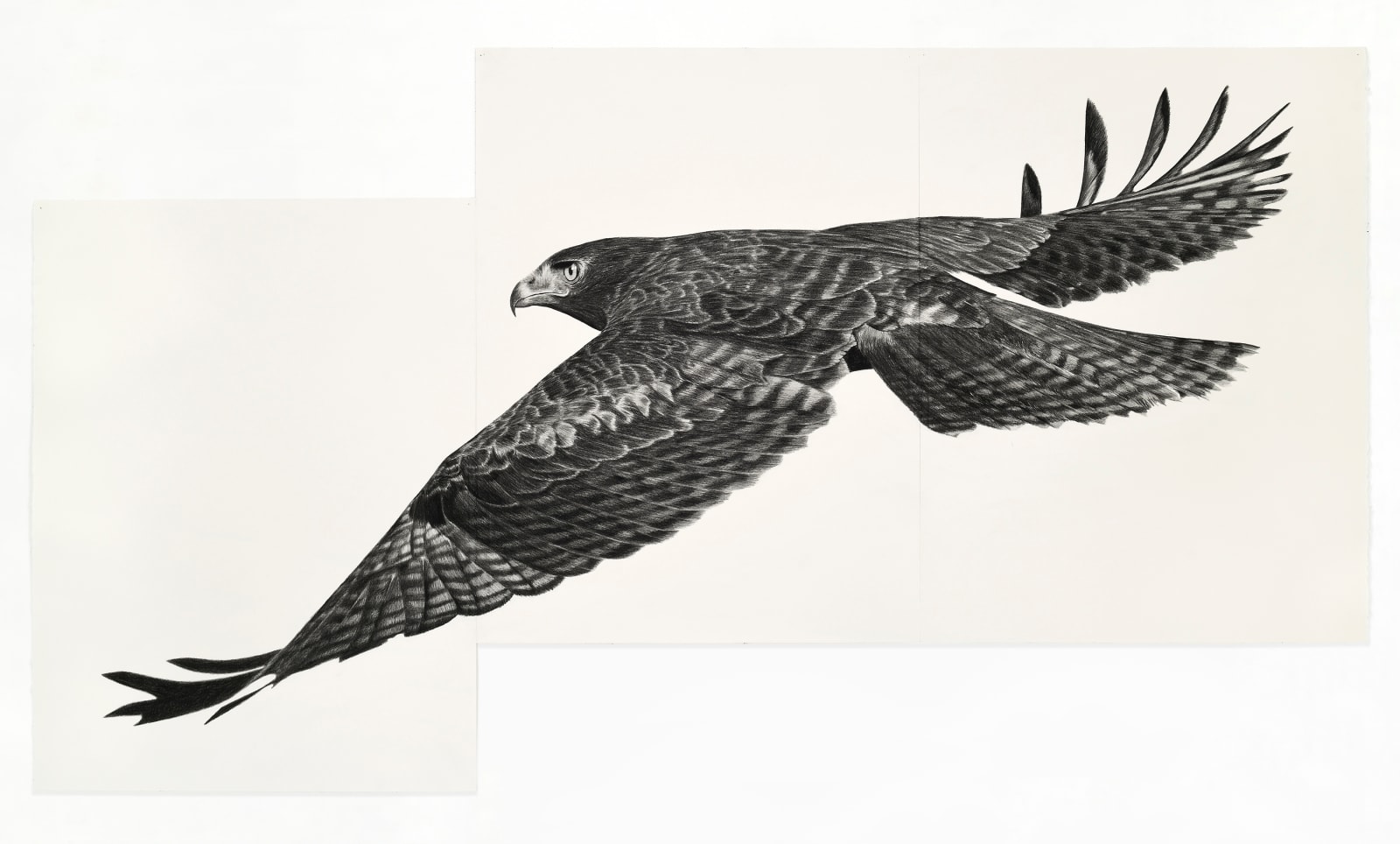 Karl Haendel, Hawk 1, 2023